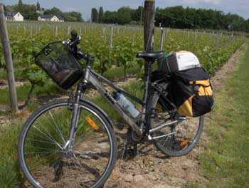 loire (562).jpg